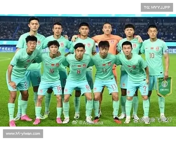 2010年世界杯回顾：中国男足预选赛精彩赛程与表现分析