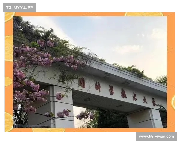 2023年中国高校排名揭晓：探索全国最顶尖100所大学的风采与特色